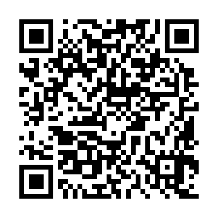 QR code for DQM387