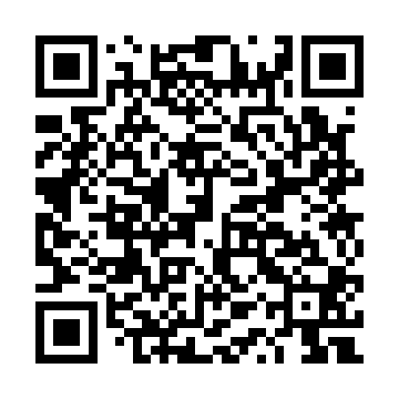 QR code for DQS100