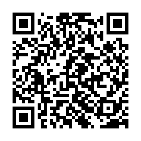 QR code for DRG338
