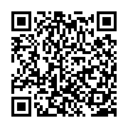 QR code for DSE768