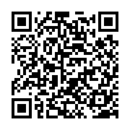 QR code for DSG775