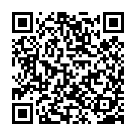 QR code for DSI489