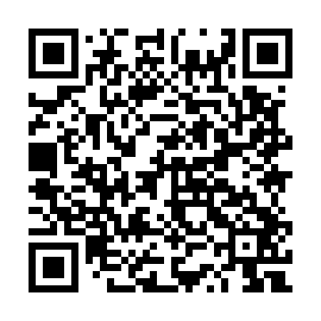QR code for DSI542