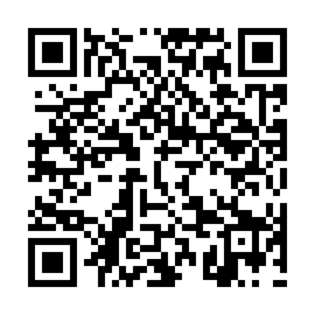 QR code for DSI949