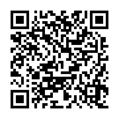 QR code for DSJ236