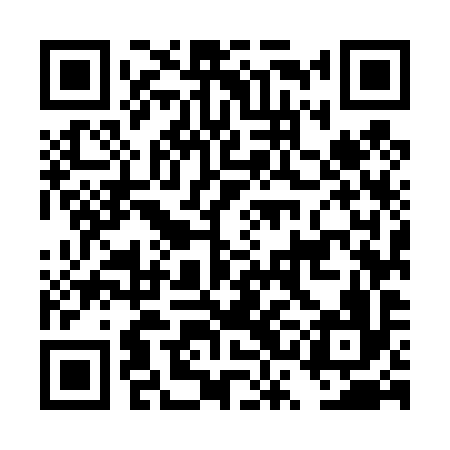 QR code for DSM496