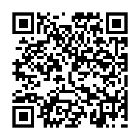 QR code for DSN938
