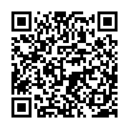 QR code for DSP391
