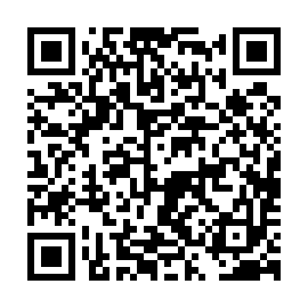 QR code for DSP593