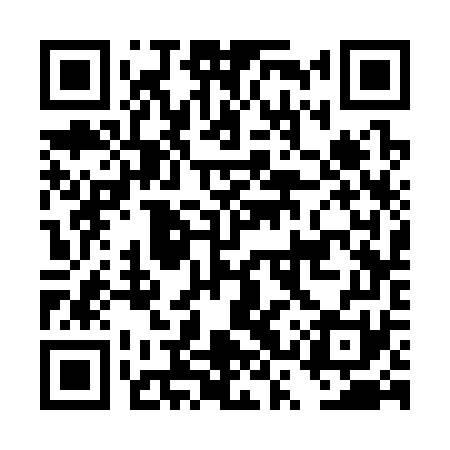 QR code for DSS371