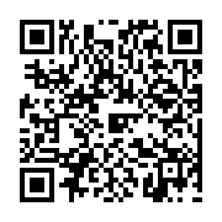 QR code for DSS383