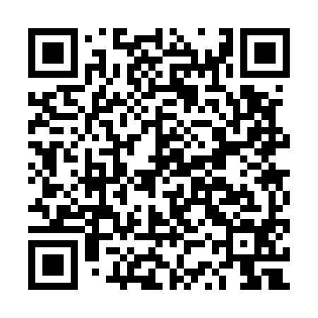 QR code for DSS594