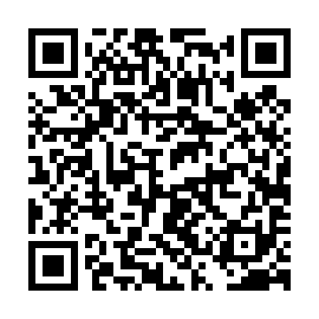 QR code for DST491