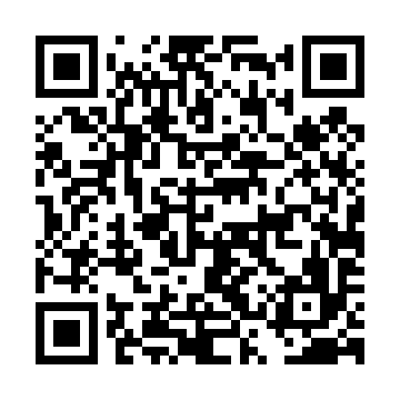 QR code for DST496