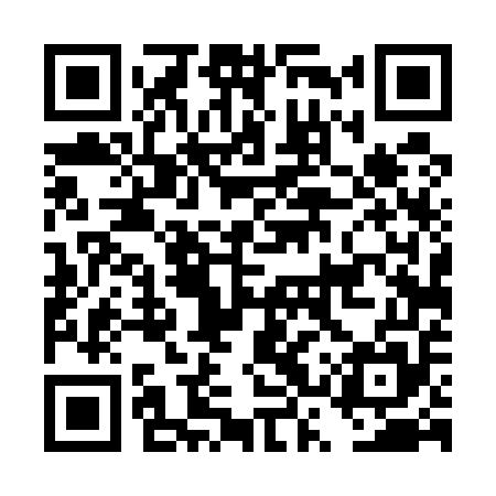 QR code for DST555