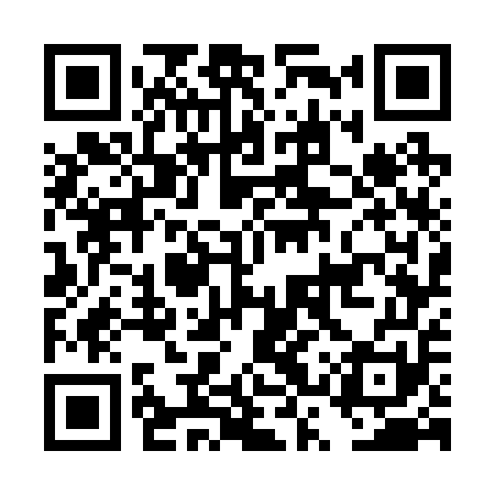 QR code for DSW251