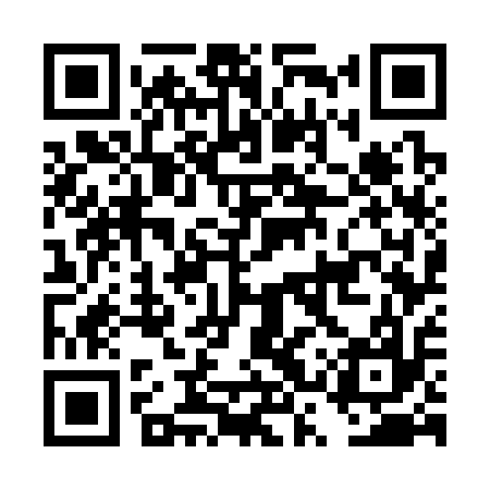 QR code for DSW317