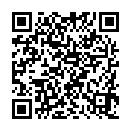 QR code for DSX190