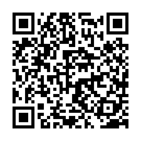 QR code for DSX209