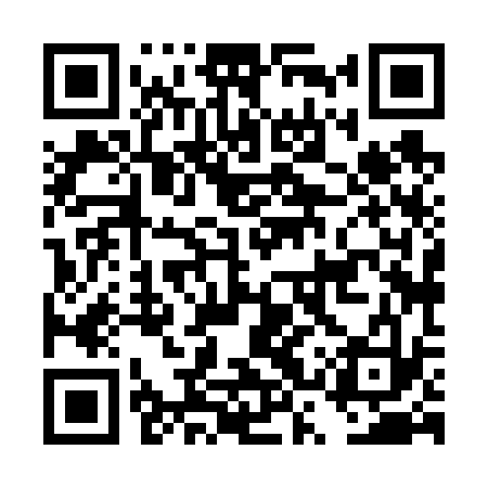 QR code for DSX633
