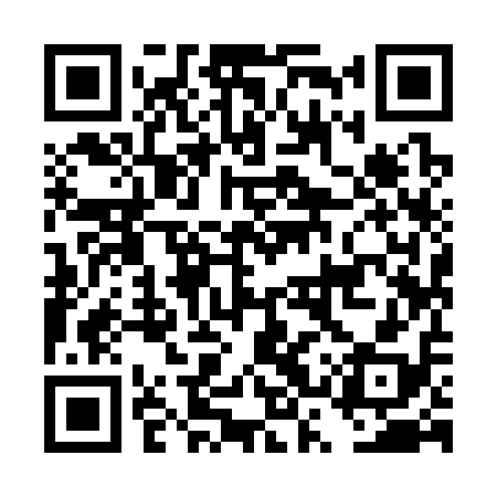 QR code for DSY318