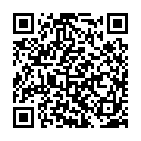QR code for DVR333