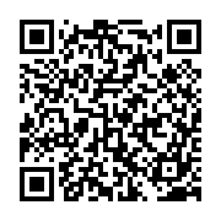 QR code for DVS077