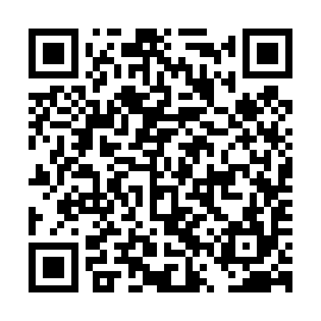 QR code for DVS494