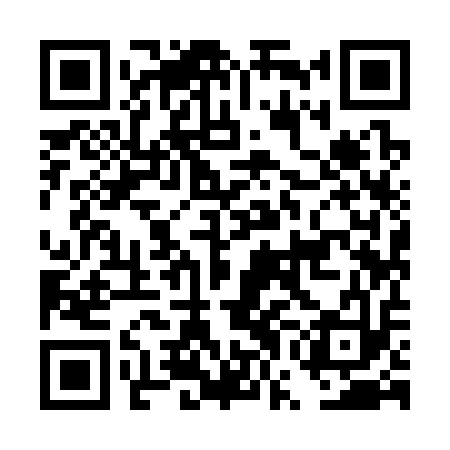 QR code for DWI313