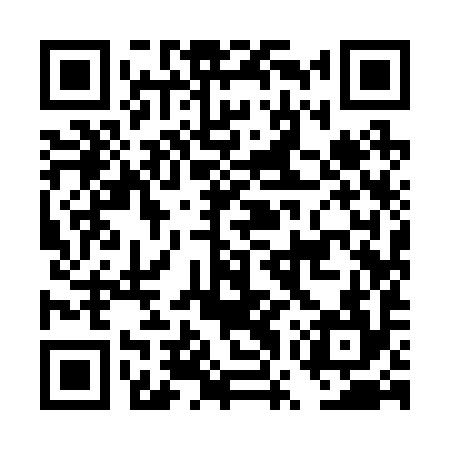 QR code for DWY294