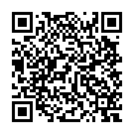 QR code for DXG016