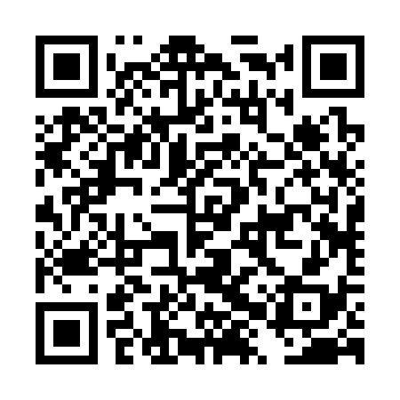 QR code for DXR338