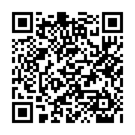 QR code for DXT295