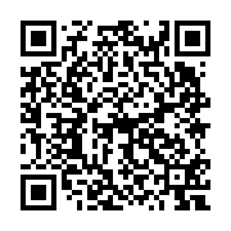 QR code for DYI611