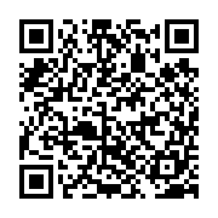 QR code for DYI655