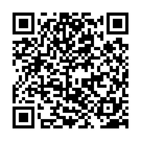 QR code for DYI735