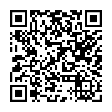 QR code for DYI991