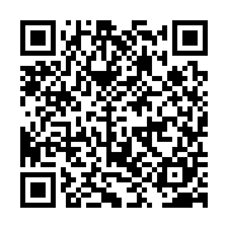 QR code for DYK305