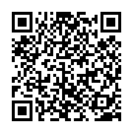 QR code for DYK439