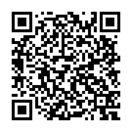 QR code for DYP533