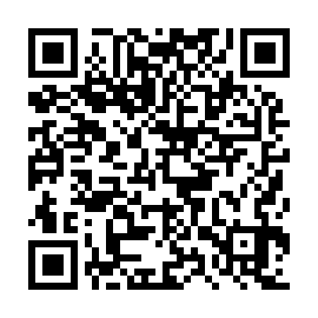 QR code for DYP933