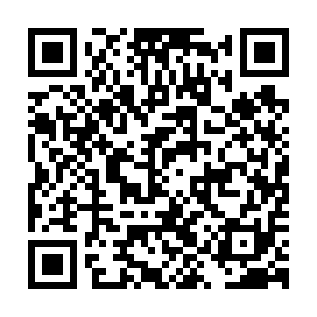 QR code for DYQ611