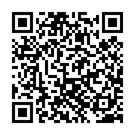 QR code for DZD491