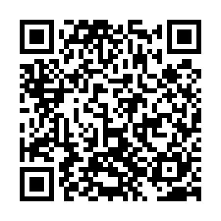 QR code for DZG525