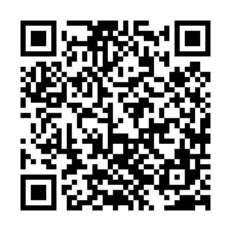 QR code for DZH406