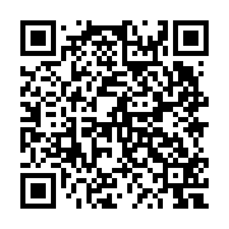 QR code for DZI613