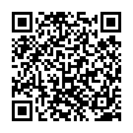 QR code for DZM617