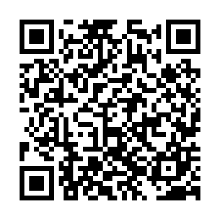 QR code for DZN207