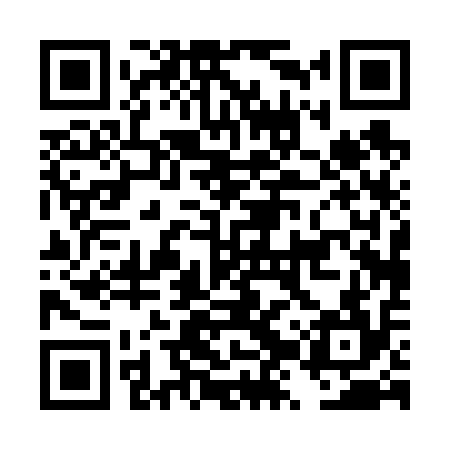 QR code for DZP614