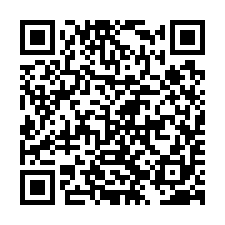 QR code for DZS790